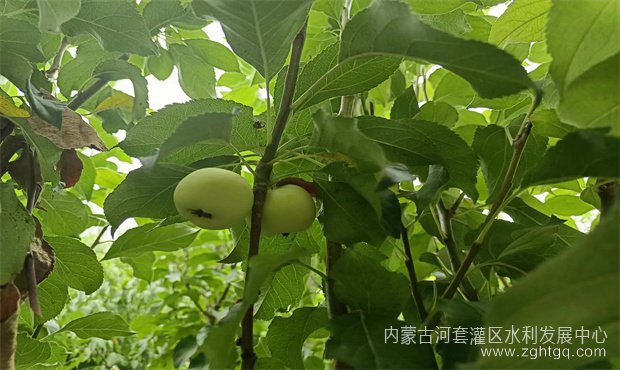 0761a793606a3c256d955b161afa2c5_副本.jpg