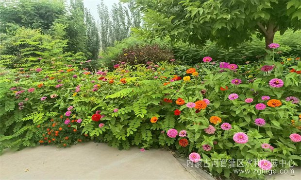 a1b85020294663e09366e8f731d8289_副本.jpg