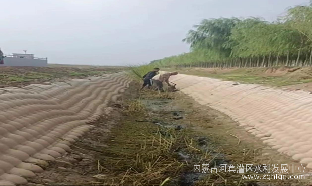 人工割渠底水草_副本.png