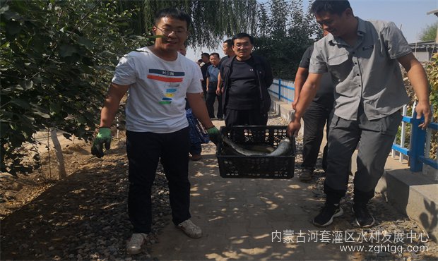 03fc031c26a73b7b995108d5e8f2c1c_副本.jpg