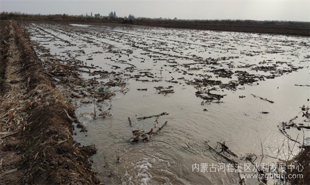 2a8881e0eeb5be909e54fdca6750009_副本.jpg