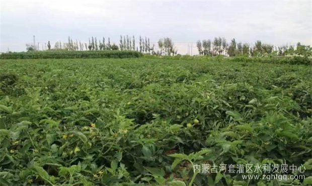ebc8d2ace0d720ed9b04ee0796ce62a_副本.jpg