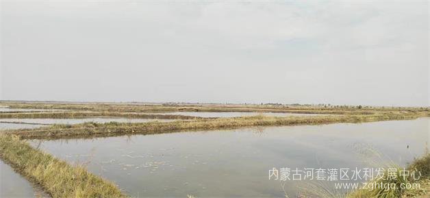 微信图片_202210201634361 - 副本.jpg