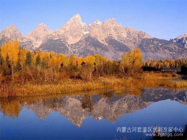 微信图片_20221209155919.jpg
