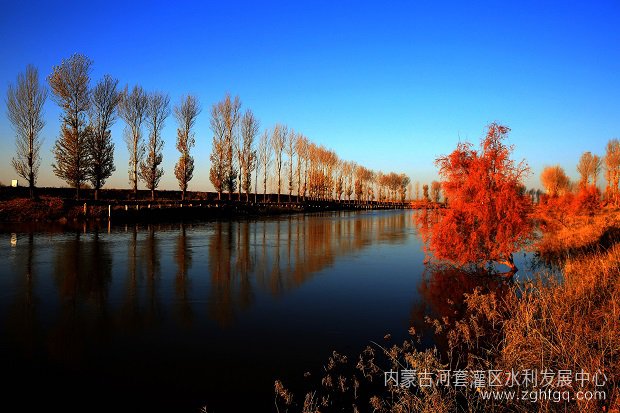 秋艳   齐鸿雁.jpg