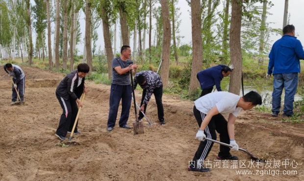 图片14.png
