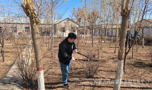 杨家河劳动3.jpg
