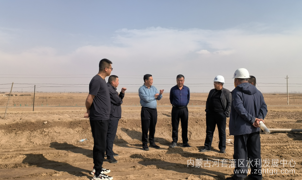 大发公工程调研.png