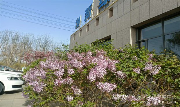 3db15add79d0d19d1aa28f6effc6deb_副本.jpg