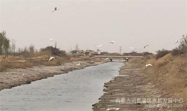 ba68a2bb28e6d8e1e5366b6c7e68d59_副本.jpg