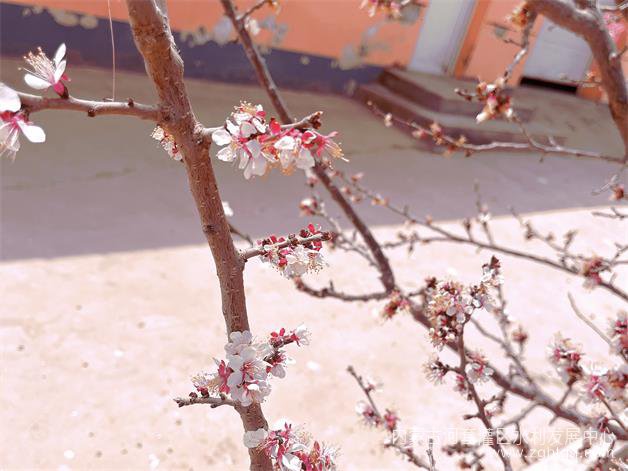 微信图片_202304261656121.jpg