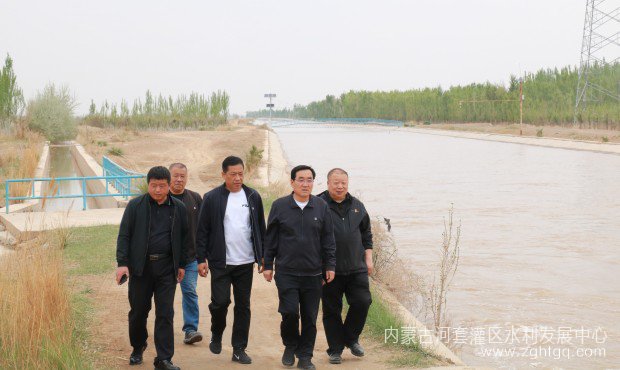 王局长调研5.jpg
