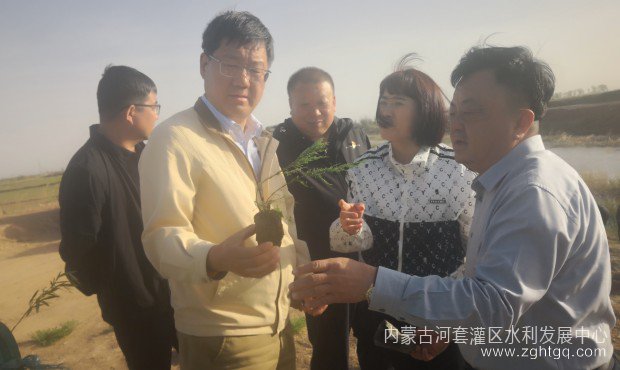 蚂蚁森林调研3.jpg