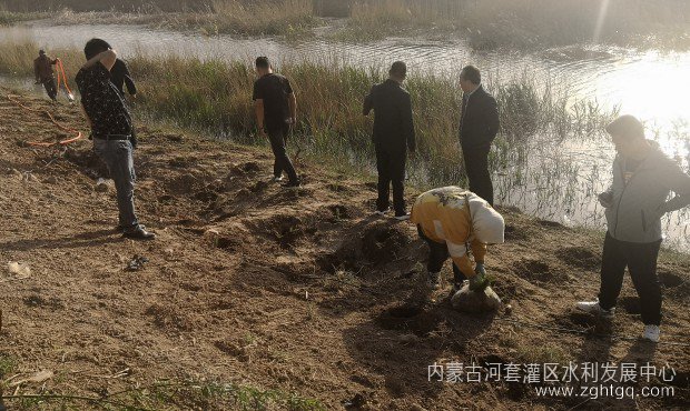 蚂蚁森林调研1.jpg