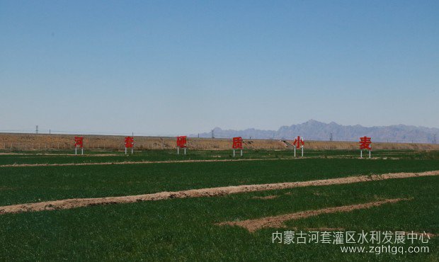 2023年灌域美景.JPG