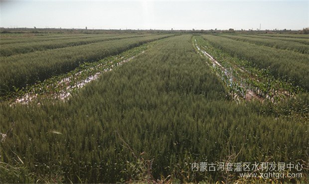 12f4fc845fee066cb5d9c8e6537c614_副本.jpg