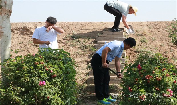 cc54e979648cd1cfc143cac18407e36_副本.jpg