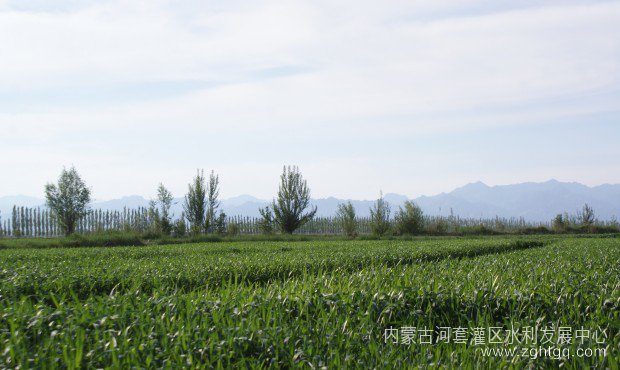 微信图片_20230626172313.jpg