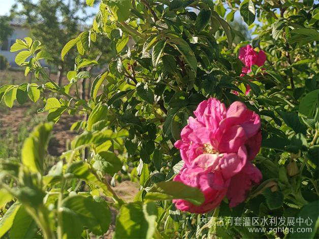 微信图片_202306282117171.jpg