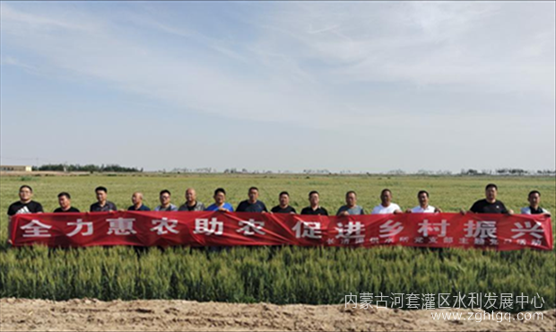 图片1_副本_副本.png