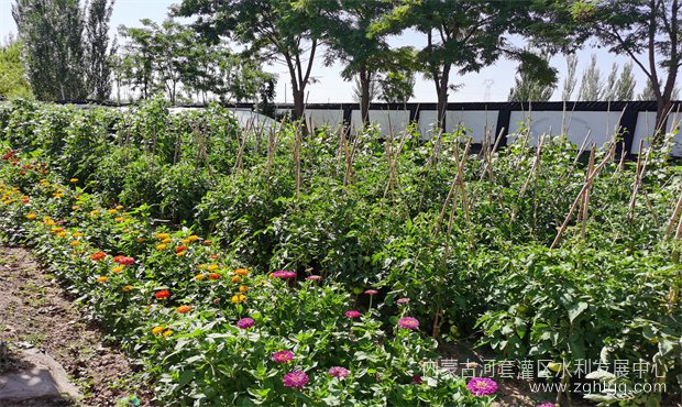 9d58f647435304bcc985738dd7cbf03_副本.jpg