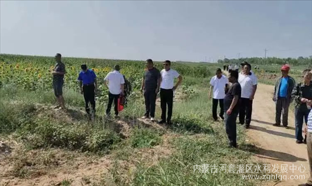 图片1_副本.png