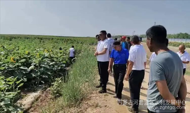 图片2_副本.png