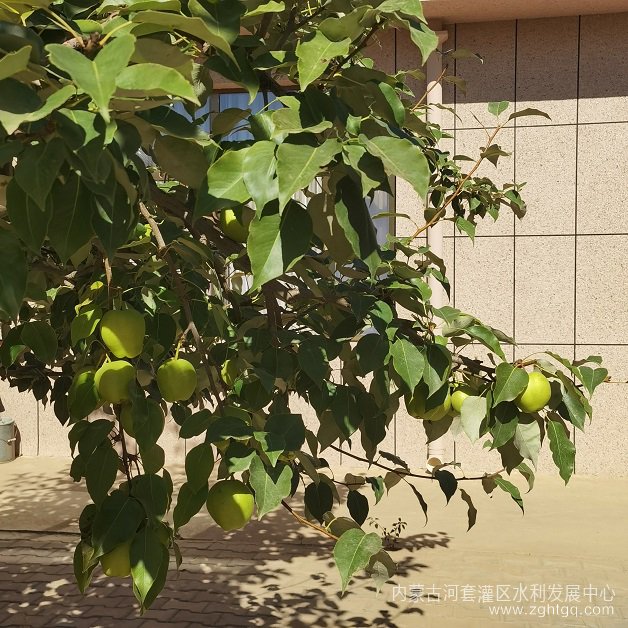 微信图片_20230914093057.jpg