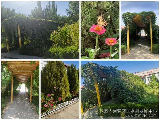 图片 4.png
