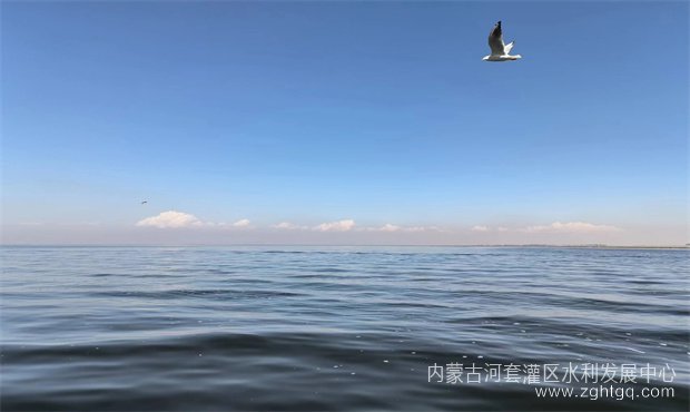 6aec6bb898fc6941cde88364af60306_副本.jpg