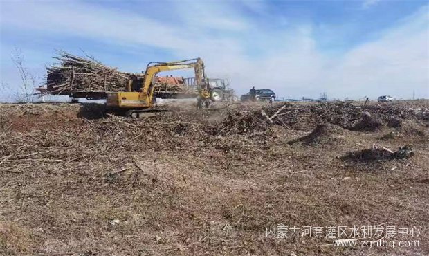 长塔清理01.jpg