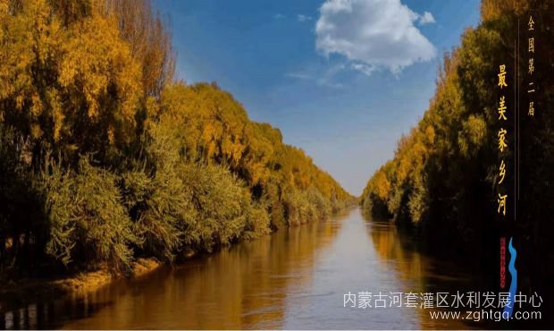选1.jpg