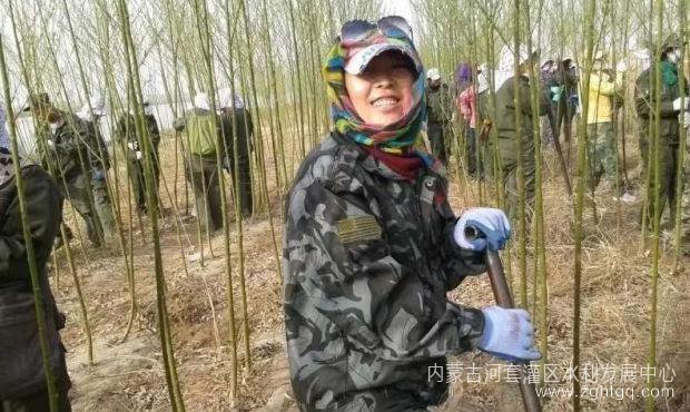 图片2(2).jpg