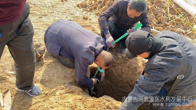 图2.jpg
