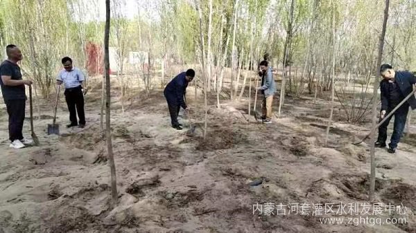 图片 3(1).jpg
