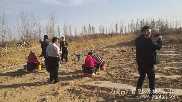 图片 4(1).jpg