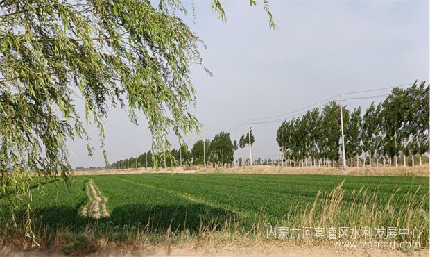 塔布春灌03.jpg