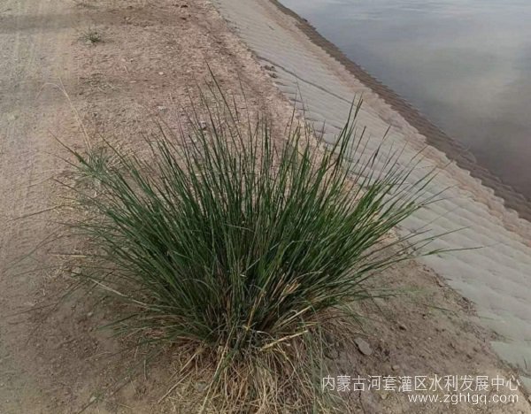 图片1 (1)(1).jpg