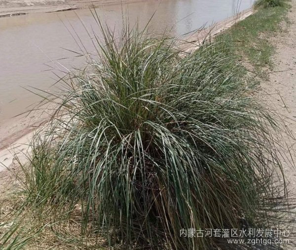图片2(1).jpg