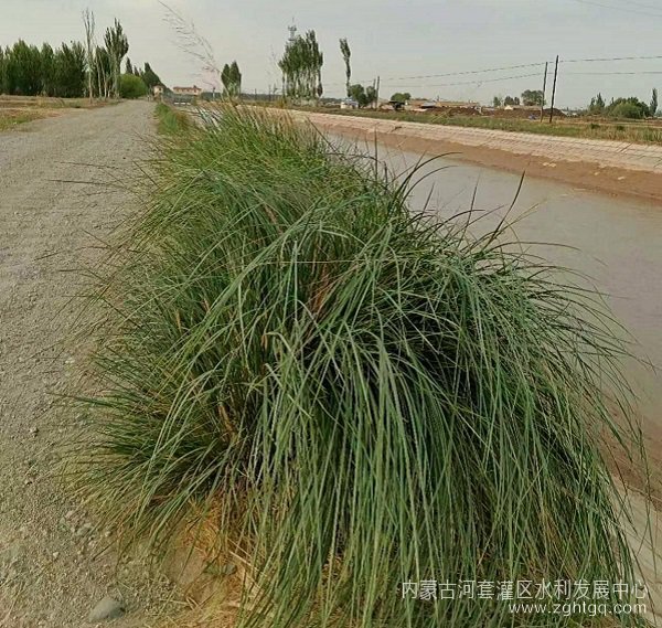 图片3(1).jpg