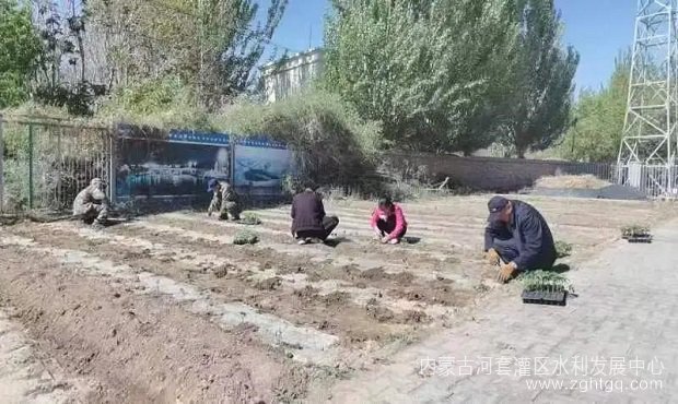 图片1.jpg