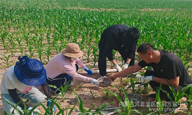 分中心01.jpg