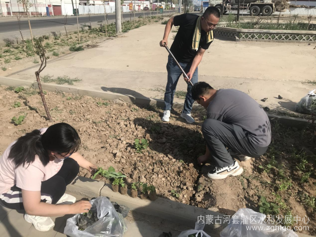 图片1_副本.png