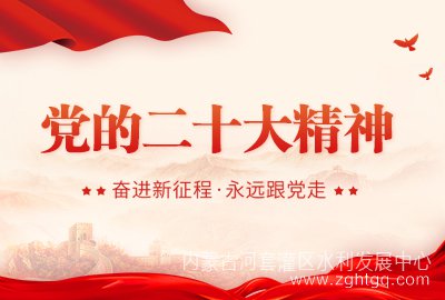 党的二十大精神