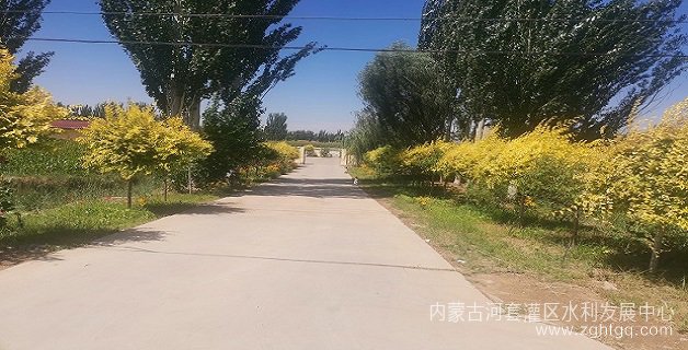 乌兰布和分中心党委书记