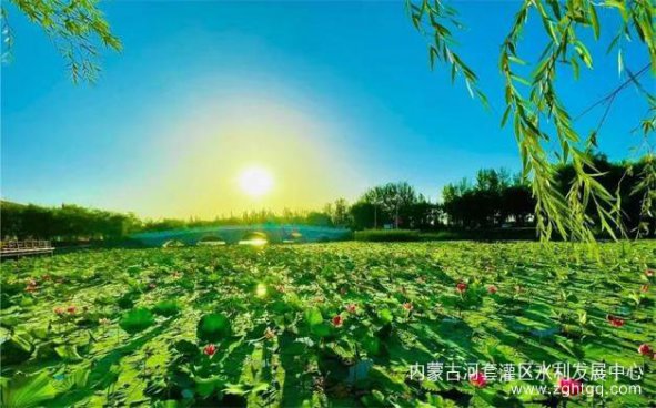 向全国一流现代化灌区迈