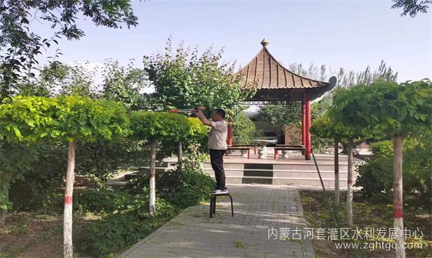 花园式单位——解放闸分