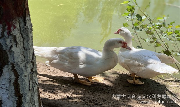 温馨段点   自给自足——