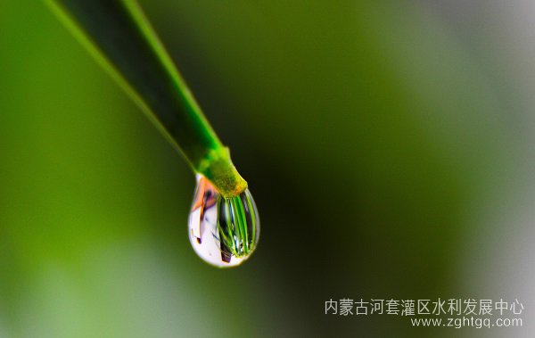 永济分中心第一届职工摄