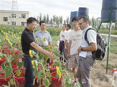 为了河套灌区百姓用好水——记市水利科学研究所所长张义强
